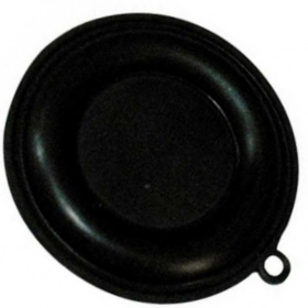 Membrana Calentador compatible con Cointra 10 Litros