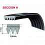 Correa Lavadora Compatible con Hutchinson Poly-v 1930 PH7