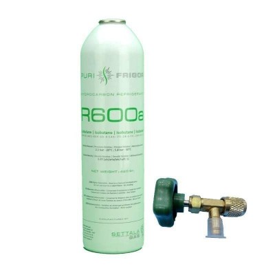 1 Bouteille De Gaz Réfrigérant R600A + Soupape De Congélation Isobutane 420Gr