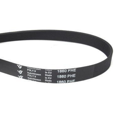 Correa Secadora Compatible con Hutchinson 1860 PHE Elastica