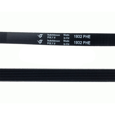 Hutchinson PHE 1932 H8 C00269098 original dryer belt