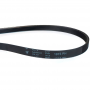 Correa Secadora Ranurada Compatible con Hutchinson 1915 H6 Elastica Compatible con Whirlpool