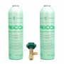 2 Bouteilles De Gaz Réfrigérant R600A + Soupape De Congélation Isobutane 420Gr