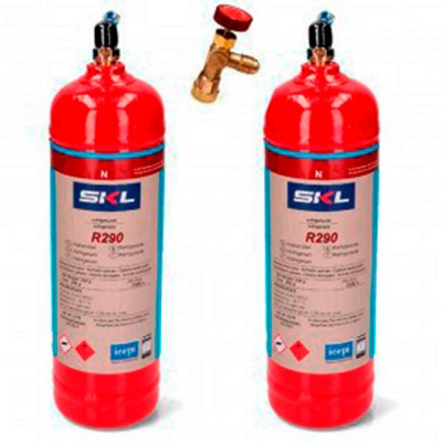 2 Bombole Di Gas Refrigerante R290 + Valvola Da 370Gr Congelare Propano Organico