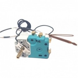 Termostato Termo Electrico Regulable compatible con Thermor compatible con Edesa compatible con Negarra 230192002 110 Grados