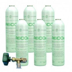 6 Bombole Di Gas Refrigerante R600A + Valvola Di Congelamento Isobutano 420Gr